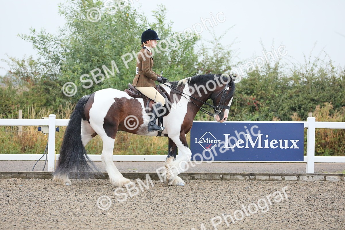 SBM_19831 - Class 801 - Ridden Veteran
