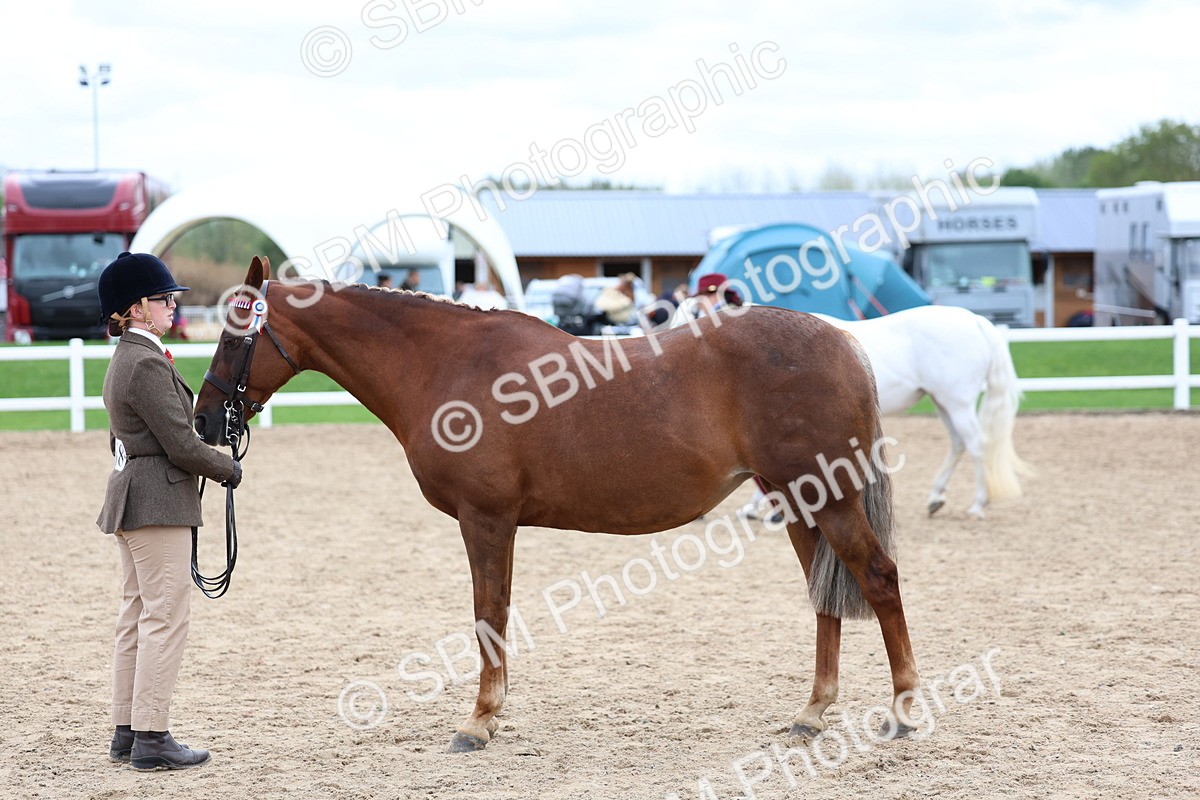 SBM_05916 - Class 29 - IH Veteran Pony
