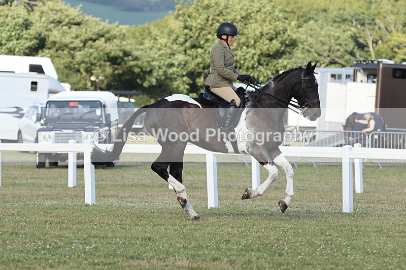 JPP_3523 - Class 22: Working Hunter 90cm