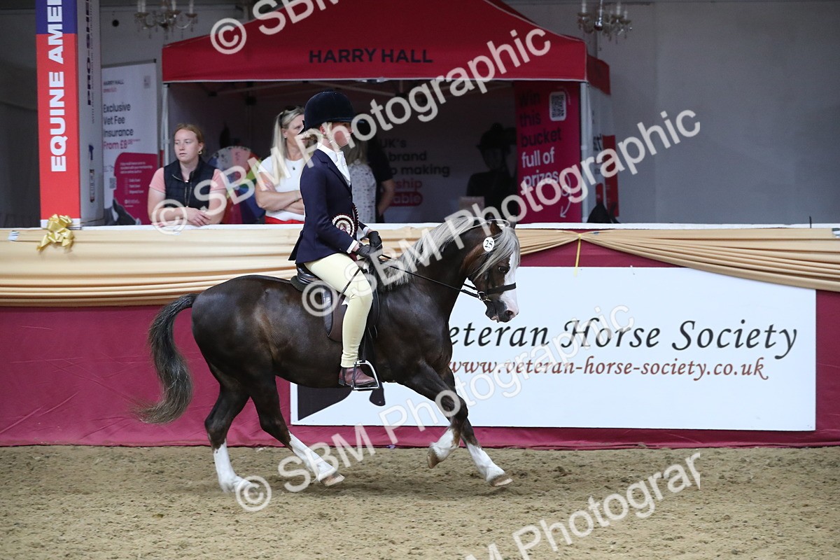 SBM_16556 - Class 502 M&M Ridden Supreme Final