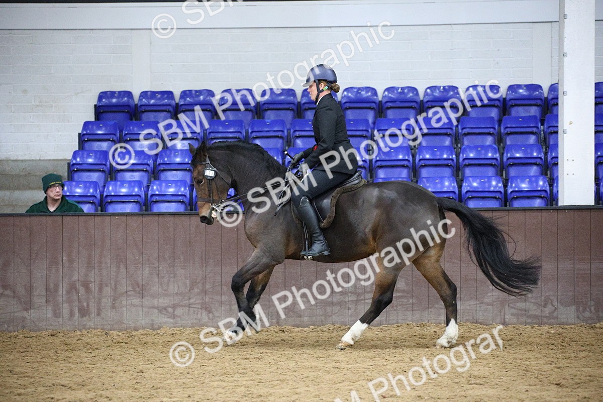 5K7A6122 - Class 48 - Ridden Mare