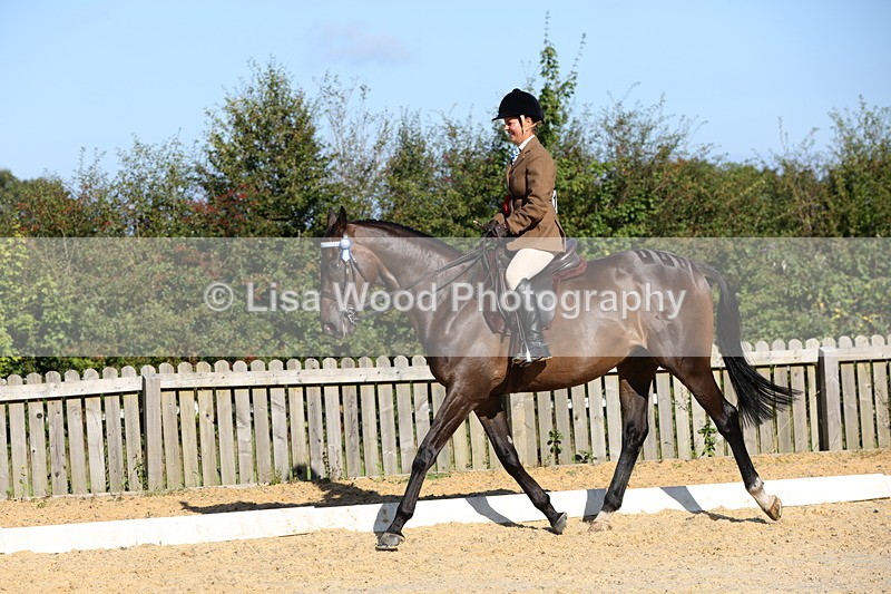 1X9A7649 - Class 7: Novice Ridden Hunter/Hack/Cob/Riding Horse