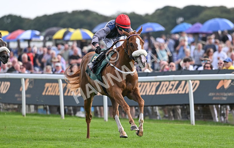 190826-217 Miss Yechance - Race 6 16.45pm Irish Thoroughbred Marketing Handicap