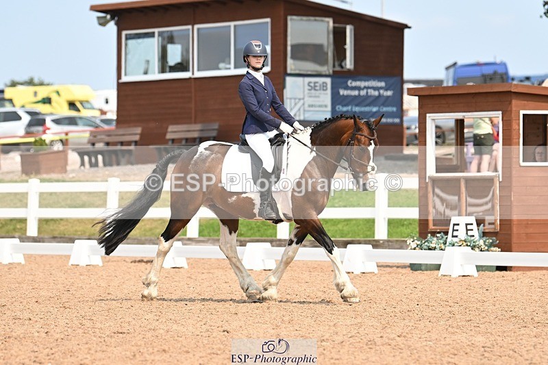 250816-140558-05007 - 050-Mollie.SheathTouch.Wood