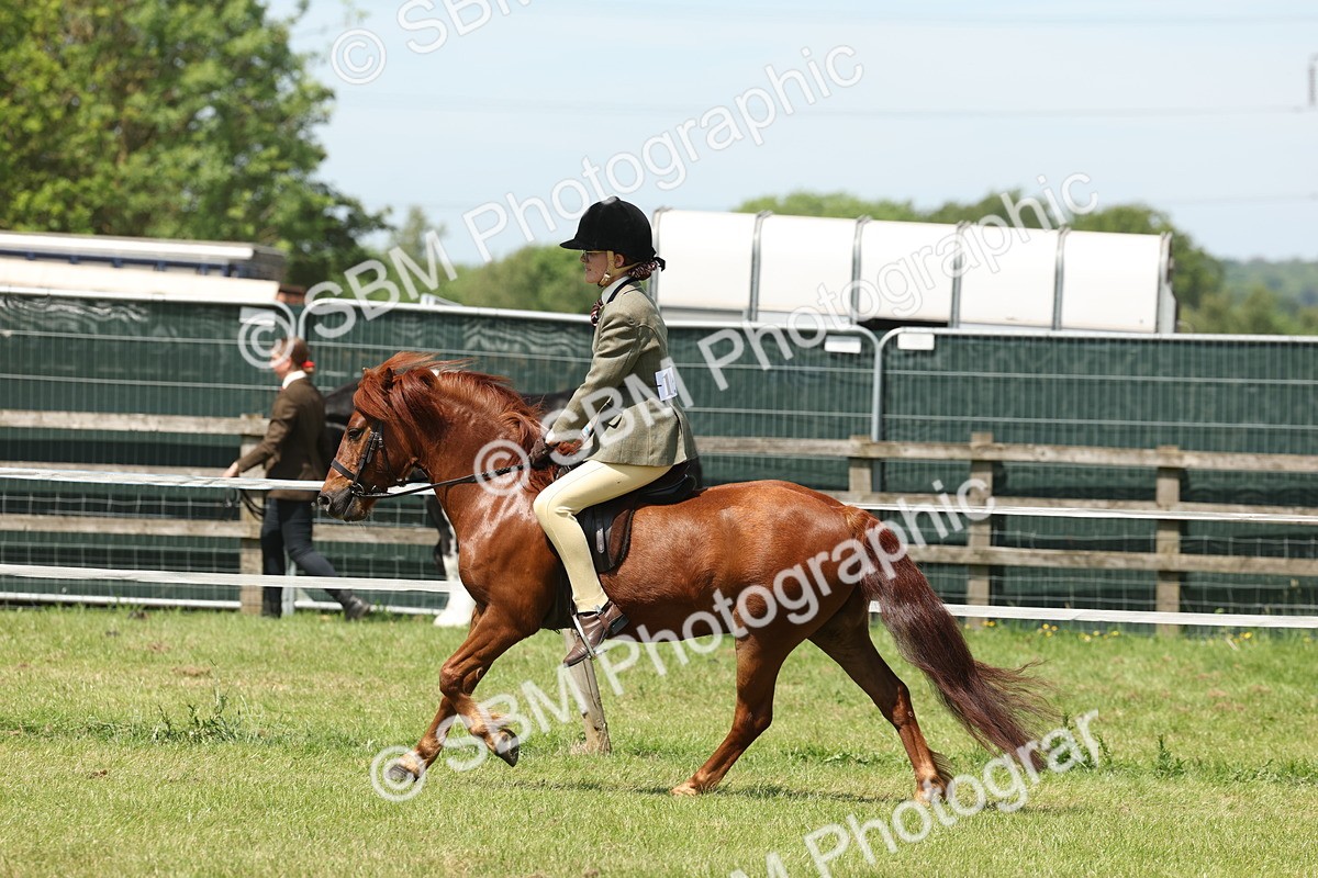 SBM_06848 - Class 26-30 - Mountain and Moorland Ridden