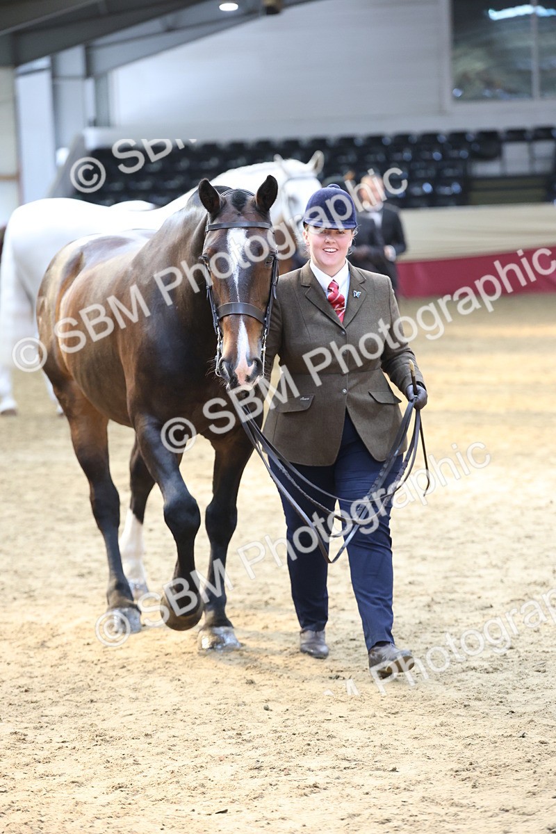 SBM_23380 - Class 903 - Supreme Final - IH Pre Vet