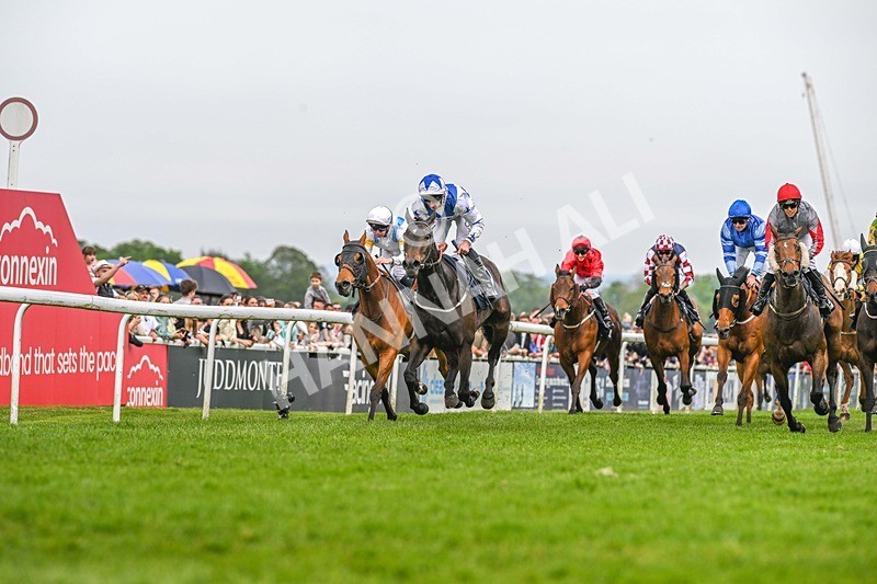 060524-Race 6-Shes Got Bottle-2417 - Race 6