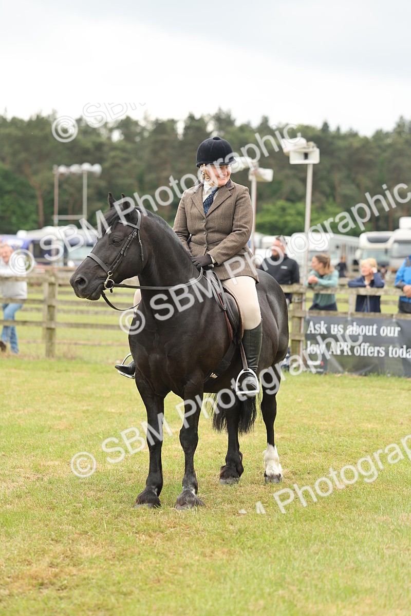 SBM_07258 - Class 76-77 - Ridden M&M Welsh Ponies