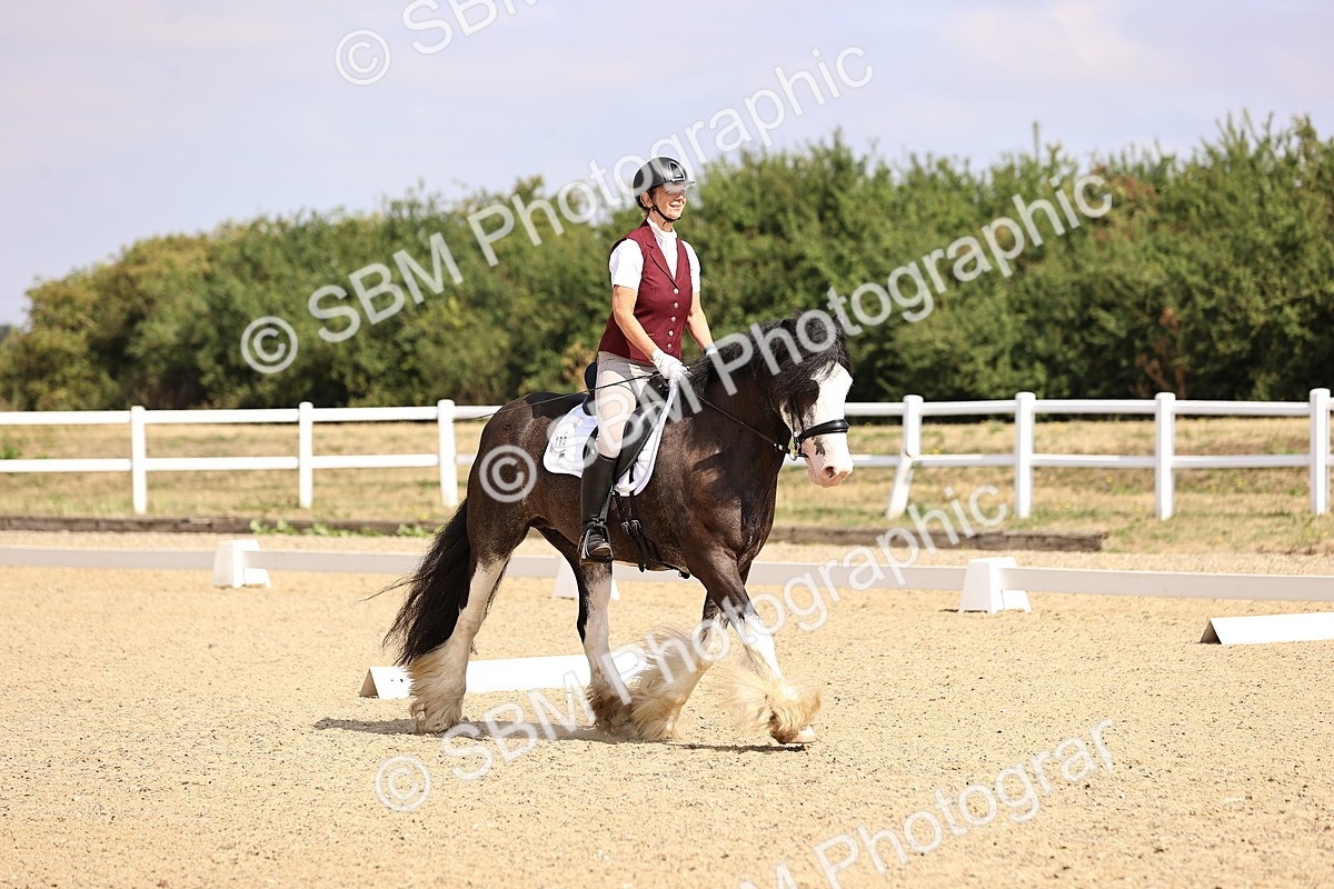 SBM_006480 - Intro 3 - 9.46-10.46