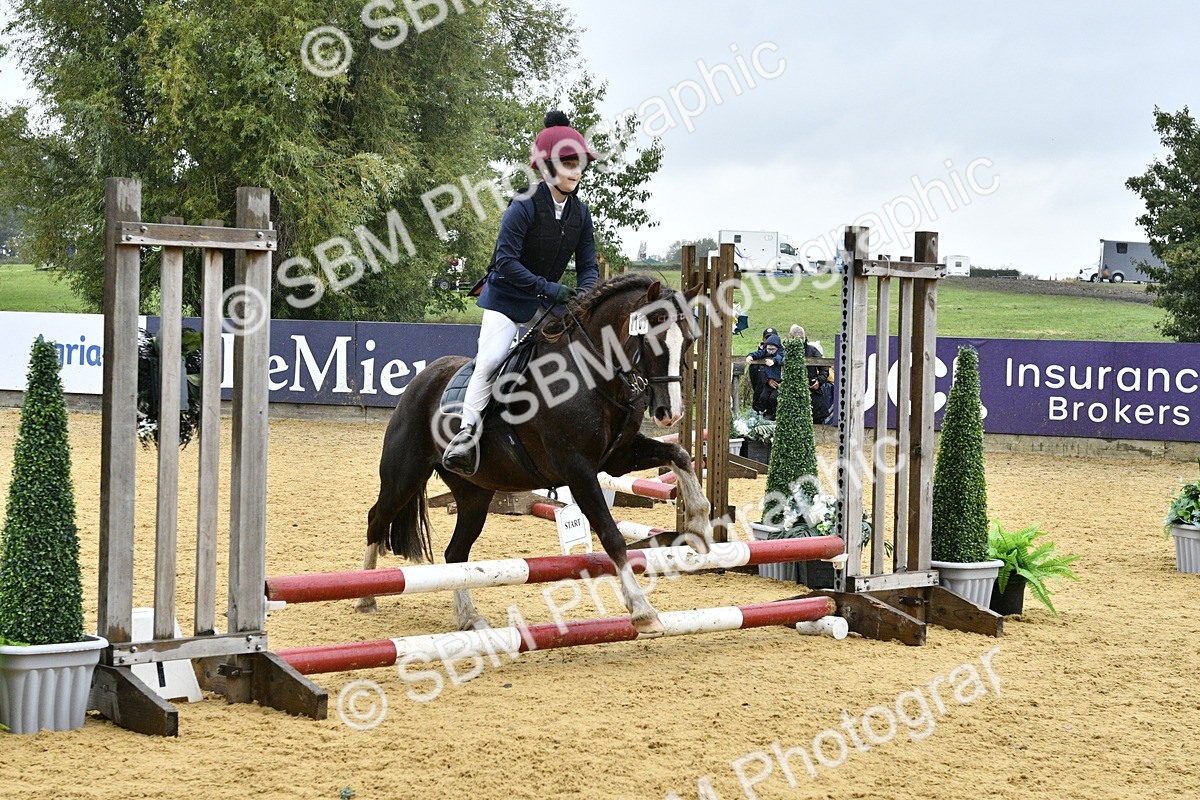 SBM_70859 - J3 - Mini Tour Junior Pony 40cm championship