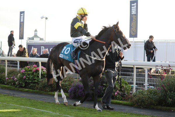 yr07102022r6-9 - Race 6 5.00pm William Hill Lengthen Your Odds EBF Novice Stakes