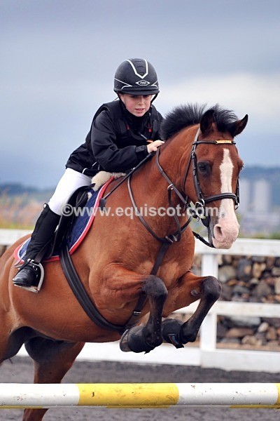 DSC_5698 crop - MARION WILSON