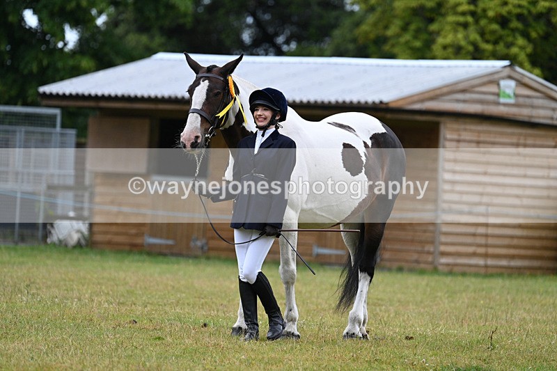 WJ7_6384 - Class 4a Prettiest Mare over 14hh
