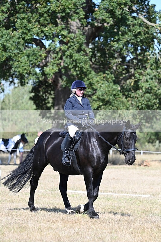 WJ7_9960 - Time 11:03 to 11:28