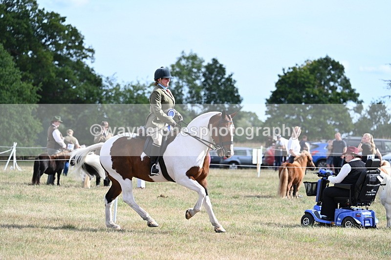 WJ7_7475 - Class 14 Ridden Coloured