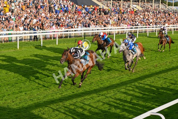 260724-Race 5-Verbier-5397 - Race 5 7.50pm British EBF Lyric Fillies' Stakes