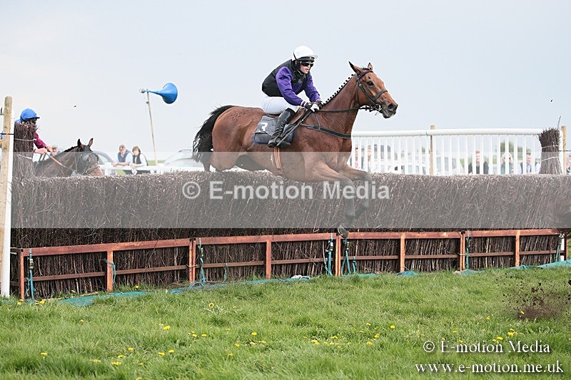 PtP 210418 377 - South & West Wilts Point-to-Point Larkhill 21/04/18
