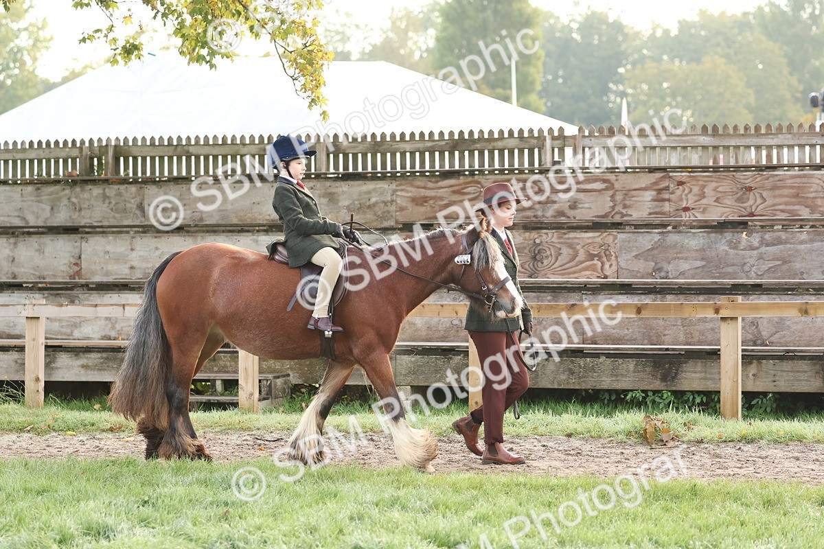 SBM_54497 - S38 - Starters Best Turnout