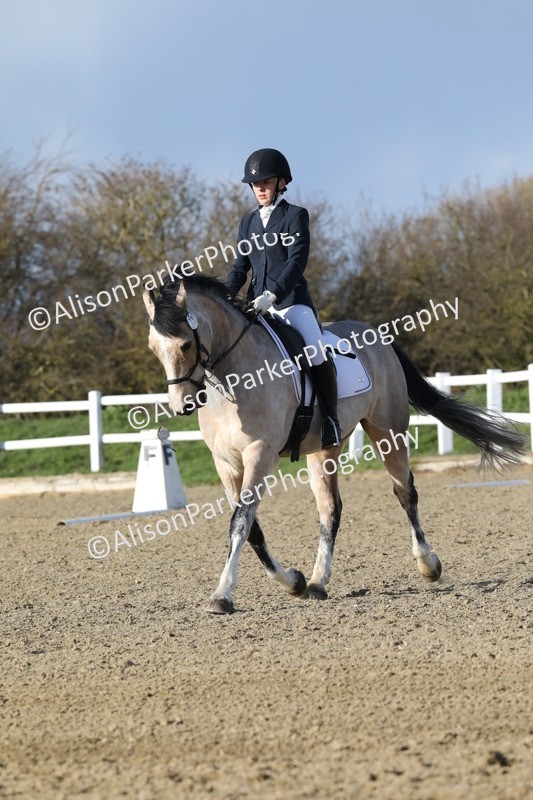 20260314-5829 - DR 7 - Elementary 1