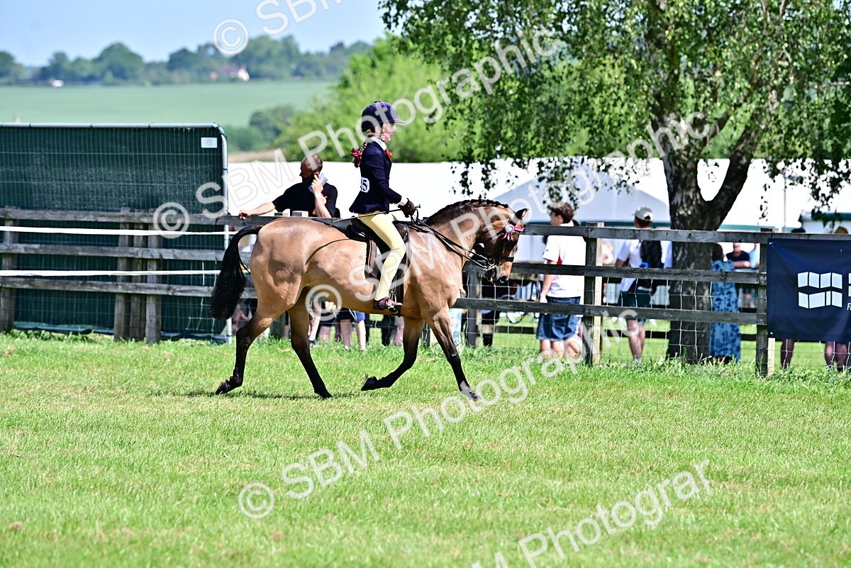 SBM_13868 - Class 95-97 - BSPS LHS Performance Ponies