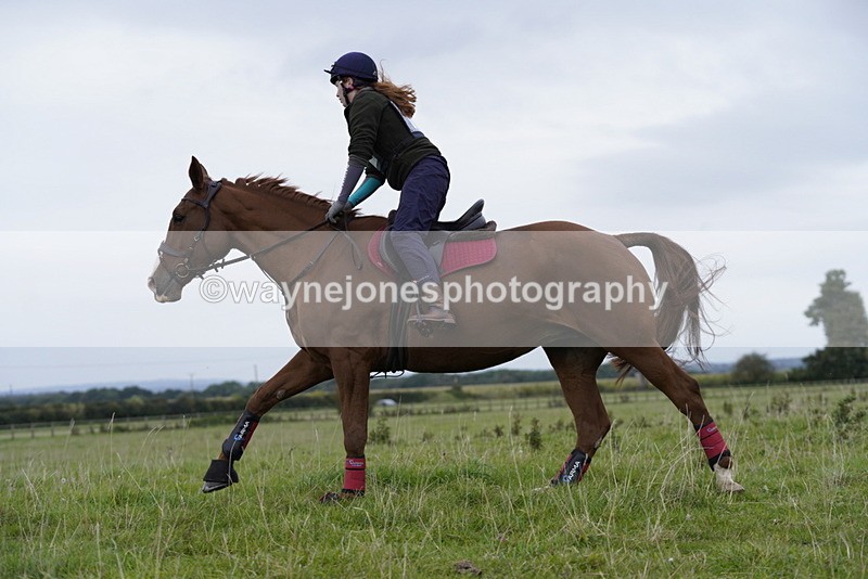 _DSC5418 - Time at Photographer 09:16 to 09:37