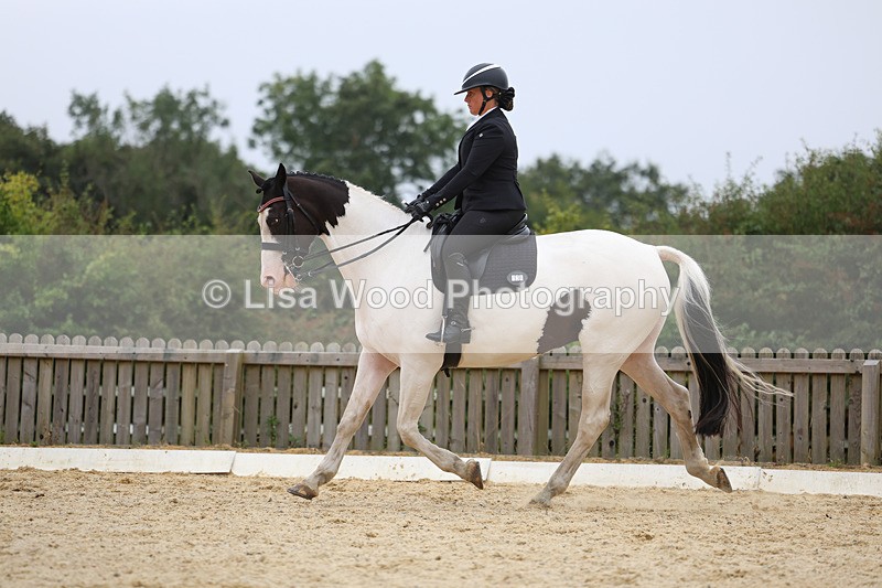 3E7A7347 - Class 9: Elementary 4 2024 - No sections