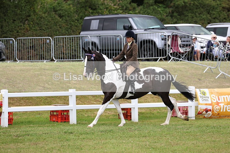 3E7A0953 - Class 8: Open Riding Horse/Hack