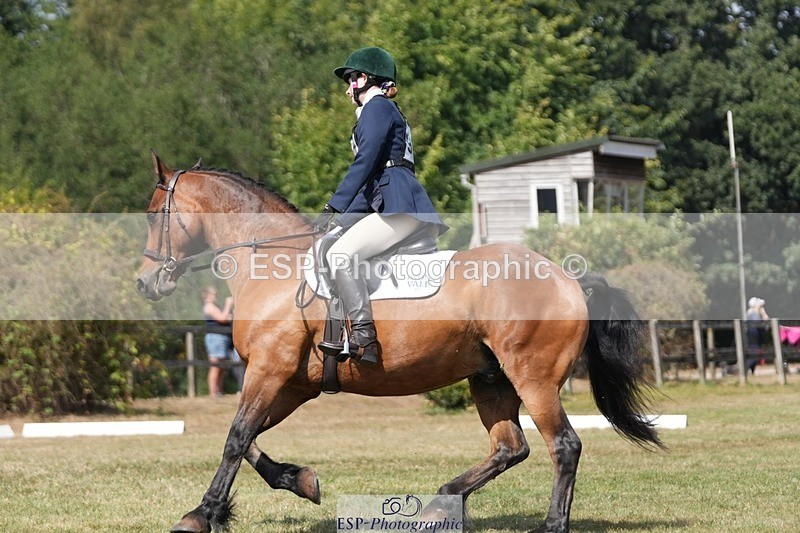 250823A-134145-31232 - Arena A