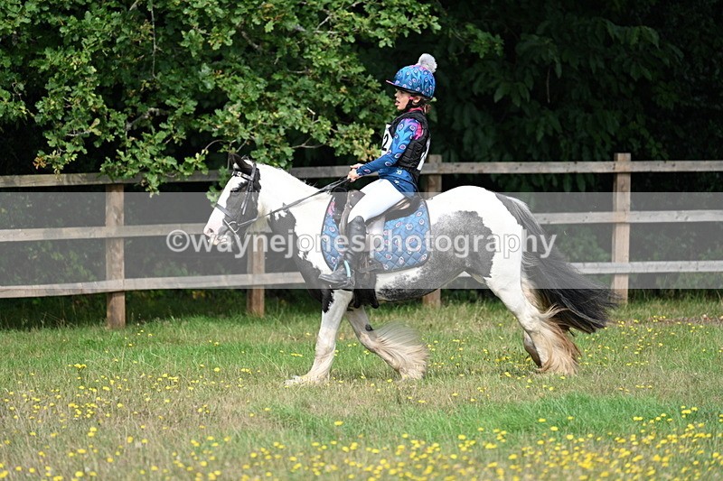 WJ7_0645 - XC Time 10:46 to 11:14