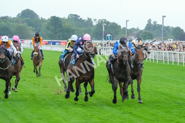 080925-Race 5-Elmonjed-9429 - Race 5 4.30pm Sky Bet Starman Garrowby Stakes