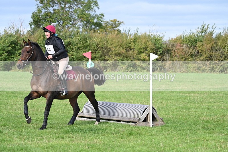 WJ7_8286 - 60cm Pairs