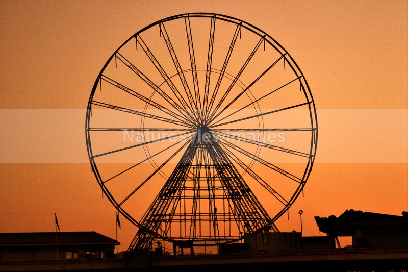 Wheel - Landscape