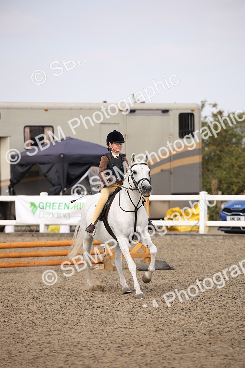 SBM_14256 - Class 407b - Working Veteran 60cm (20+)