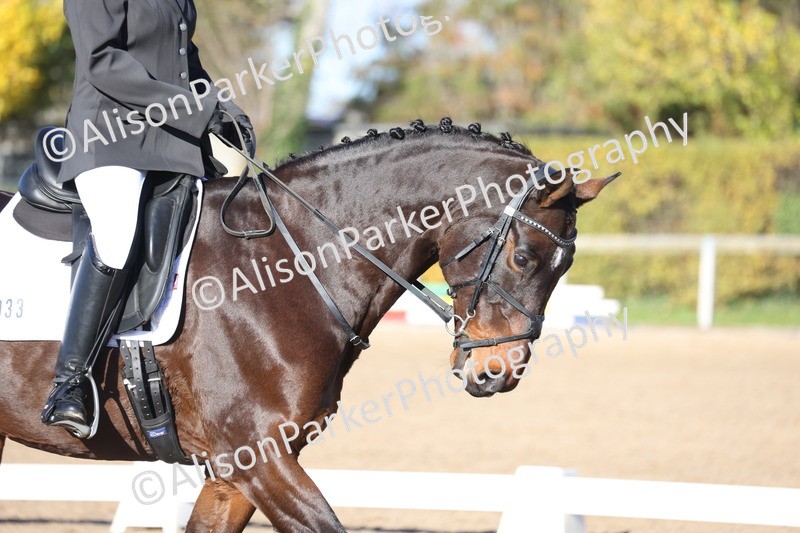 20251102-0491 - Class 3 - Novice 5