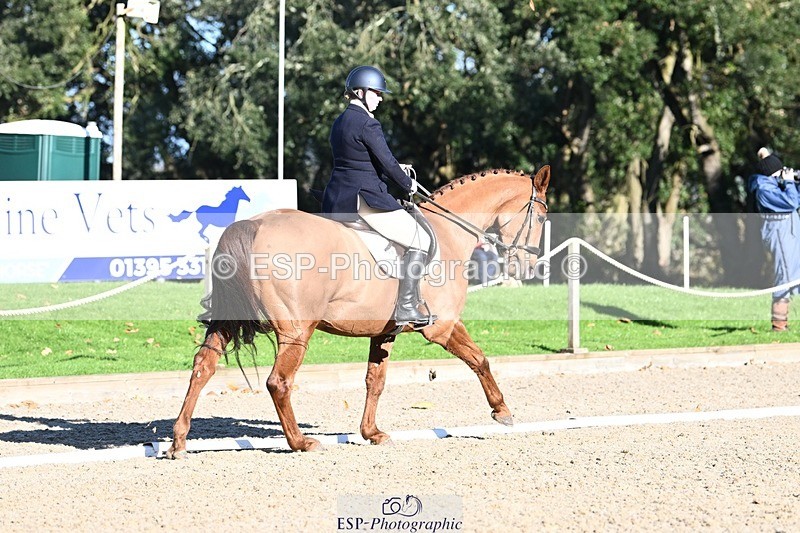 231110-131646-00900 - Cls 4 Novice 39Q