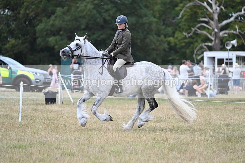 WJ7_5040 - Class 12 Ridden Cob