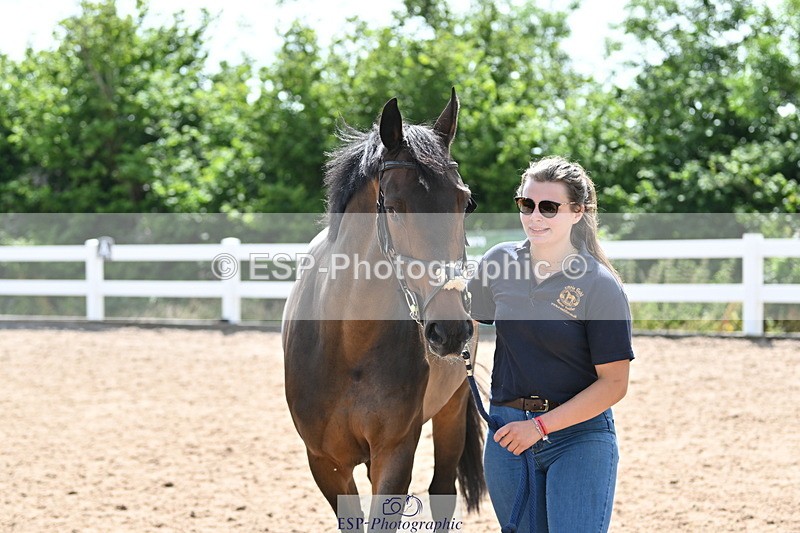 240717A-152221-02790 - Trot Up 3pm to 4pm