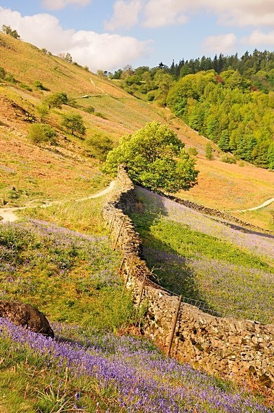 lll0124 - South Lakes