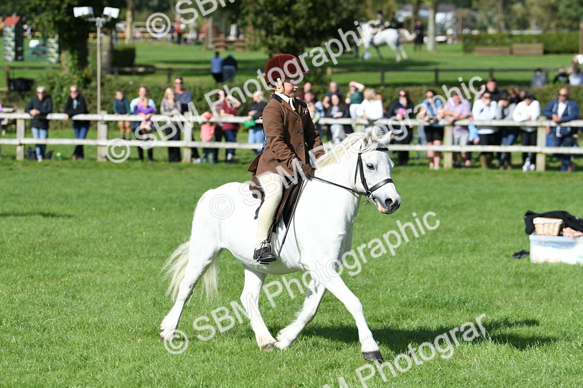 SBM_50276 - S21 - Novice & Newcomers 1st Ridden Pony