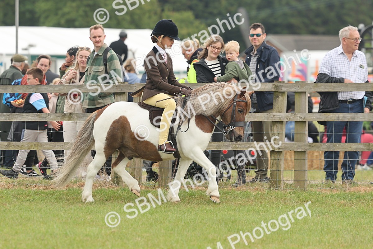 SBM_08889 - Class 78-80 - Ridden M&M Non Welsh Ponies