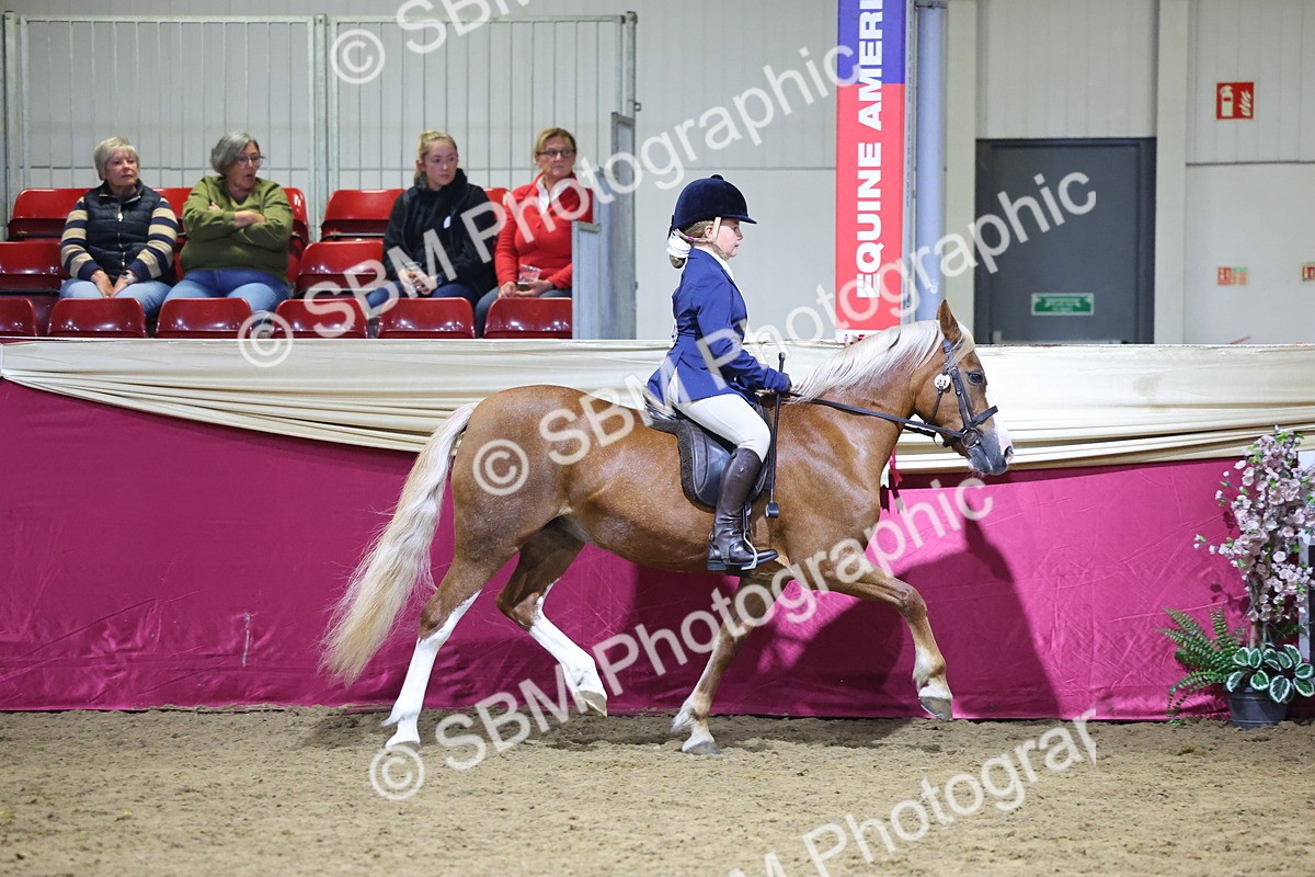 0B8A4579 - Class Q Style & Performance Champ