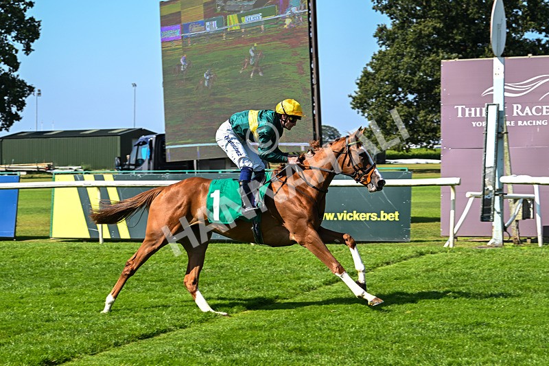 300824-Race 2-Consent-5738 - Race 2