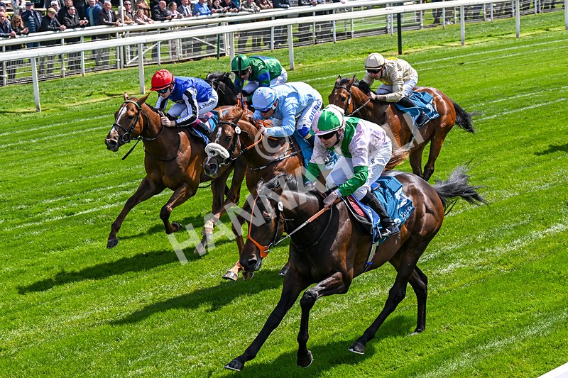 140526-Race 1-Persian Spring-0047 - Race 1 1.45pm Sky Bet ebfstallions.com Novice Stakes