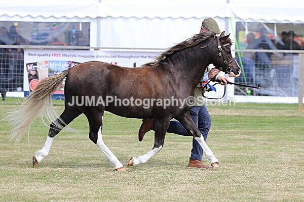 SIAL5138 - overall champion