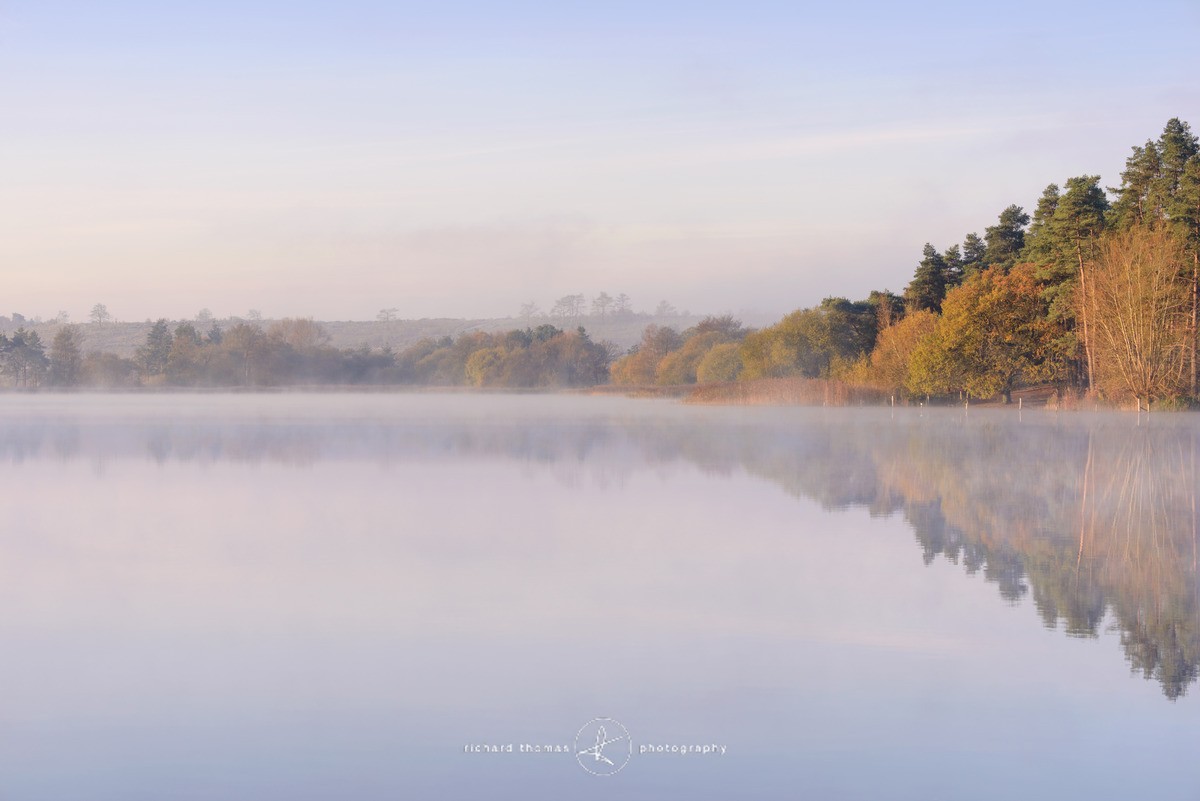 Morning Herald - Frensham