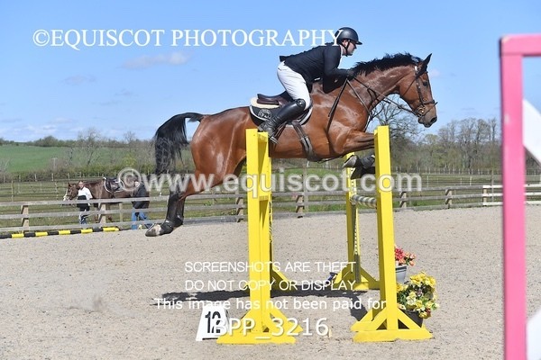 BPP_3216 - CLASS 15 Senior Foxhunter/ 1.20m Open