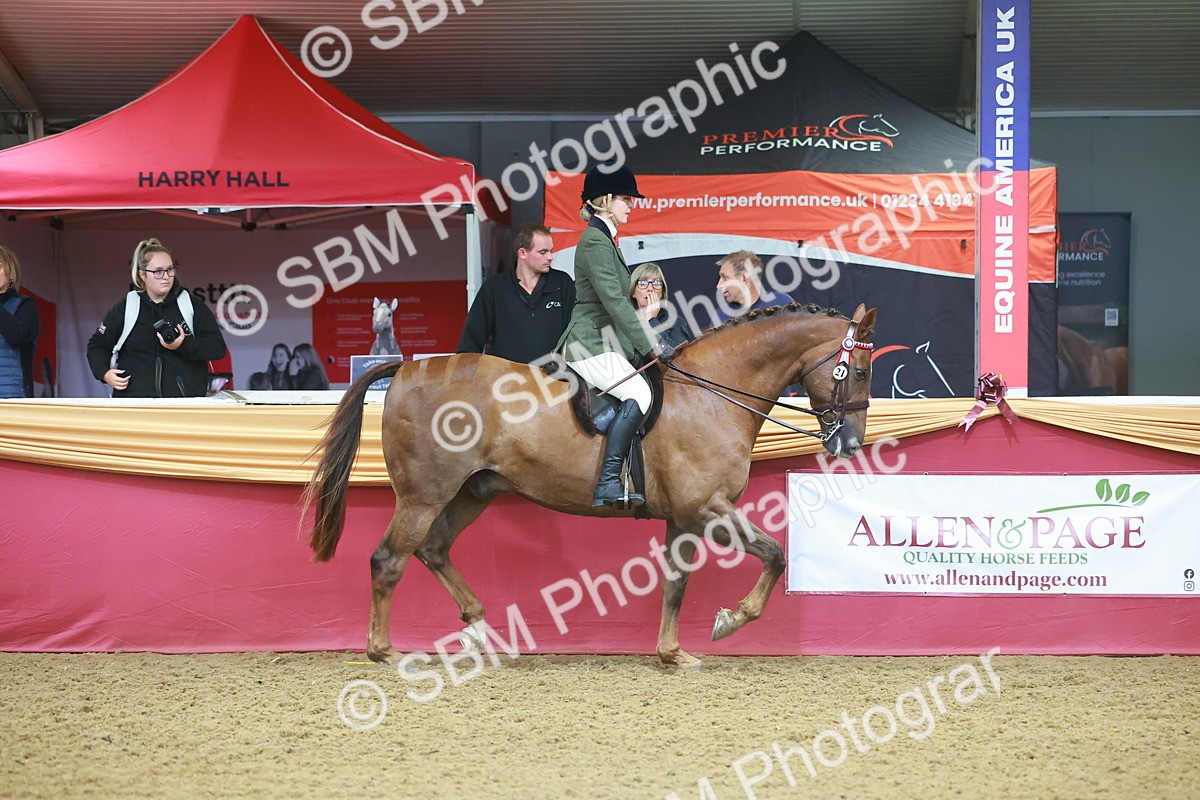 SBM_09616 - Class 102 - HOYS Veteran Qualifier - Ridden Veteran