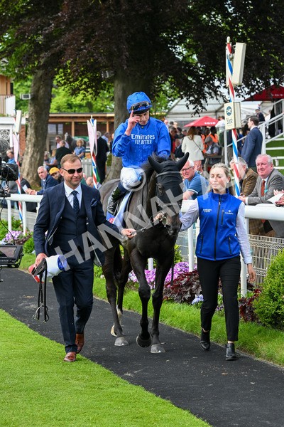 170524-Race 3-Devoted Queen-7930 - Race 3 3.15pm Sky Bet Fillies' Stakes (Registered As The Michael Seely Memorial Fillies' Stakes)