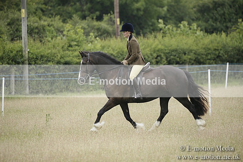B230619-0093 - Bourne Valley Riding Club Summer Show 23/06/19