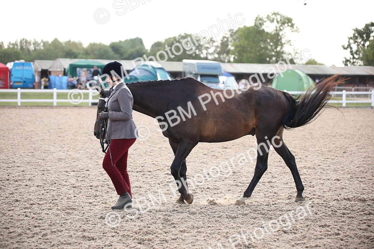 SBM_07108 - Class 25 IH Foreign Breeds- Pure bred